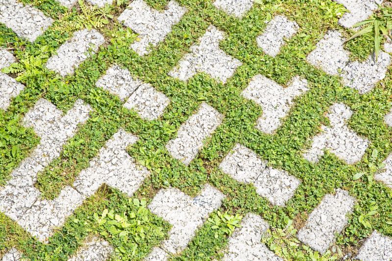 Paver Flooring Installation in Boulder, CO